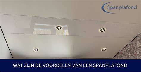 Infographic: Voordelen en afwegingen van spanplafond met spotjes