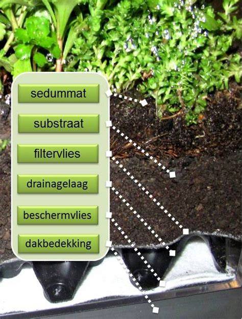 Grafiek: Onderhoudsfases van een groendak