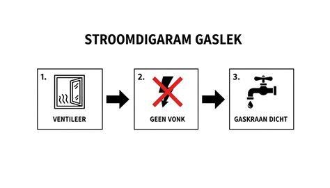 Infographic: stappen bij gaslucht en CO-veiligheid