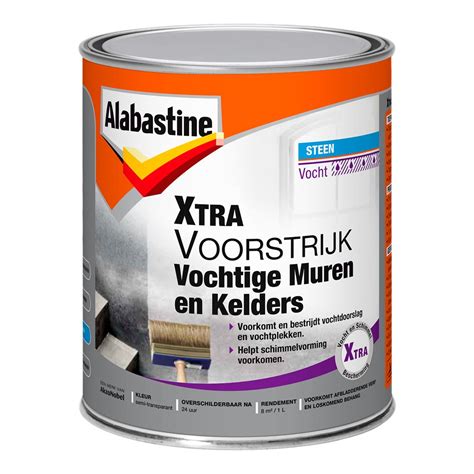 Infographic: Wat doet Alabastine Xtra Voorstrijk Vochtige Muren & Kelders