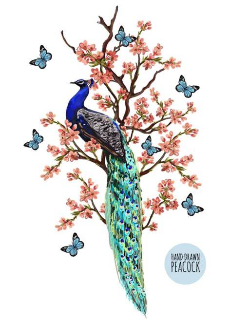 Pauw in een boom: elegant behang