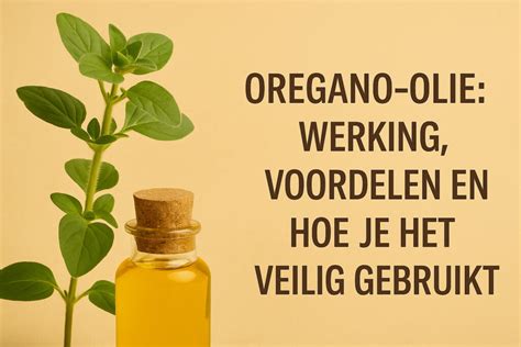 Infographic: Werking van hardwax olie - werking van olie in poriën en waslaag