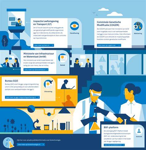Infographics: Overzicht productieproces WEBO-kozijnen