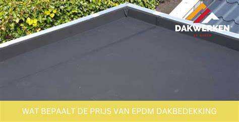 infografiek kosten per m2 plat dak: bitumen, EPDM, PVC, groendak