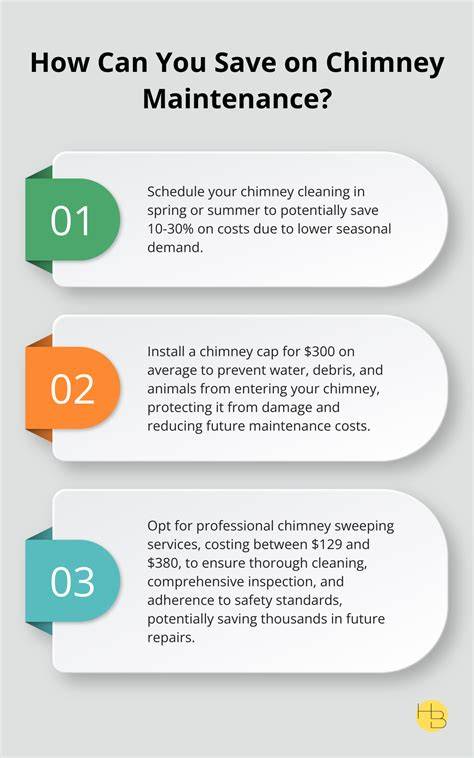 Infographic: Lorum ipsum illustration image about chimney maintenance