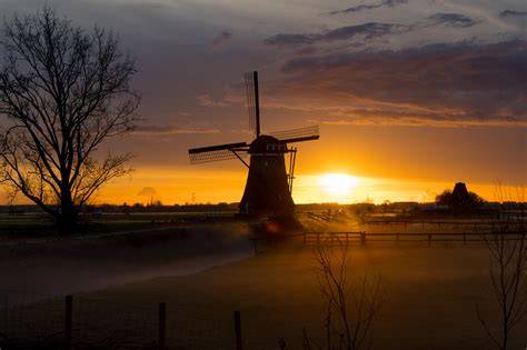 Foto van rietdekkerswerk op een molen met aangetrokken gaarden