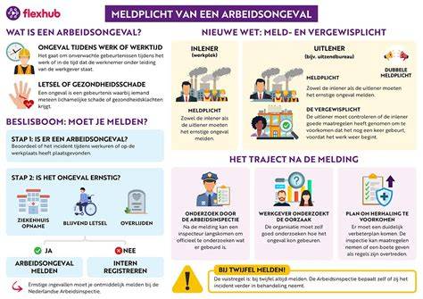 Infographic: Overzicht asbestverwijderingsstappen en verantwoordelijkheden