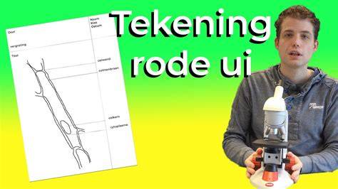 Schematische tekening van montagepad: traject, verspringing en uitmonding