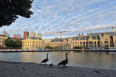 Beeld van Den Haag met zicht op de Hofvijver en Mauritshuis