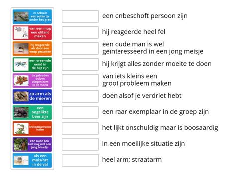 Infographic: Ontstaansverloop van spreekwoorden met vliegen en dieren