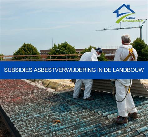 Infographic: Risicoklassen en stappen in asbestverwijdering in Friesland