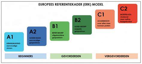 Infographic: Trappenrenovatie: van basis tot topkwaliteit (A, B, C) met lagenopbouw en antislip
