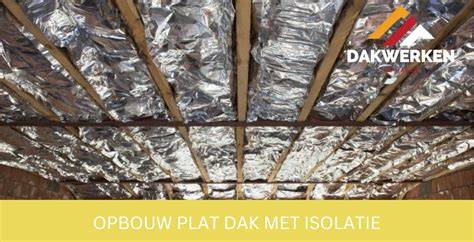 Infographic: Voordelen van plat dak vs. lessenaardak