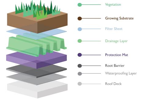 Infographic: Building a green roof structure with sedum layers, substrate, drainage, and vegetation