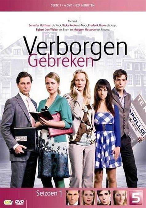 Diagram: hoe normatief gebruik en verborgen gebreken samenhangen