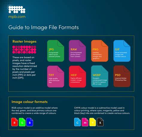 https://example.com/infographic-formats.jpg