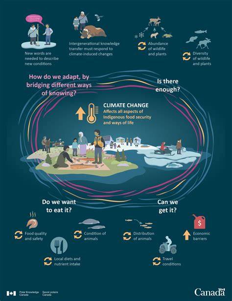 Infographic: Stormrisico en schadeverwerking