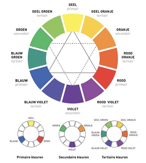 Kleurenopties en montagevoorbeeld infographic
