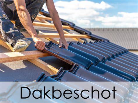Infographic: overzicht van dakbeschot- en dakbedekkingsystemen voor overkappingen