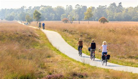 Kinder- en familieplezier op de Veluwe