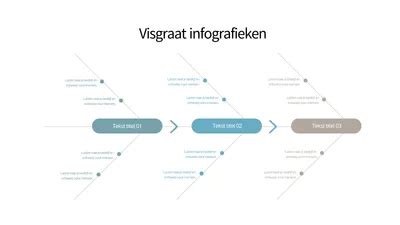 Infographic: Visgraat legplan en hoekpunten