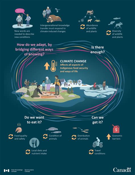 Infographic: onderhouds- en schuurcyclus