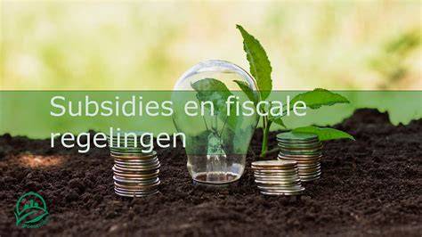 Overzicht van subsidies en fiscale regelingen rondom dakrenovatie