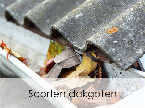 Infographic: Soorten dakgoten en materialen