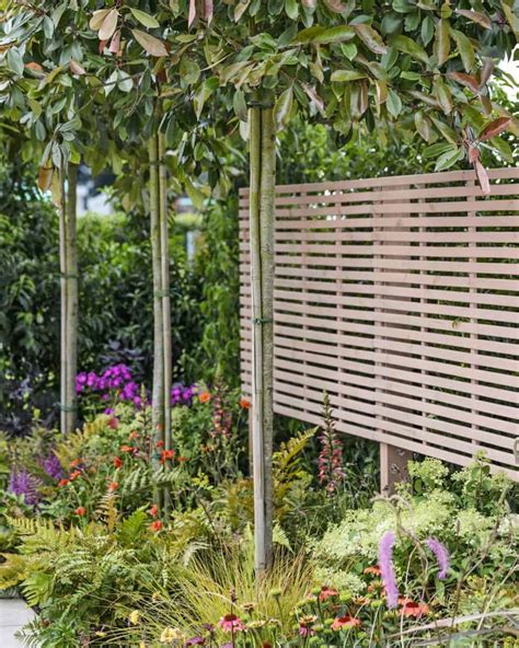 Voorbeeld van een verticale tuinoplossing op een open schutting