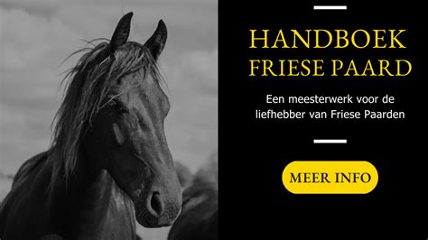Infografiek: Vergelijking van Friese, PRE en Tinker kenmerken