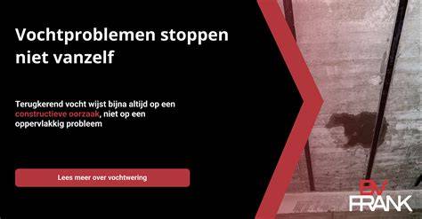 Infographic: Oorzaak en aanpak vochtplekken op houten plafonds