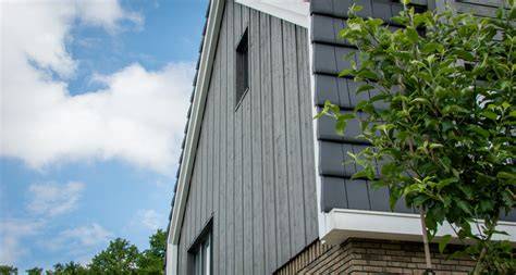 Infographic: verticale vs horizontale montage van gevelbekleding