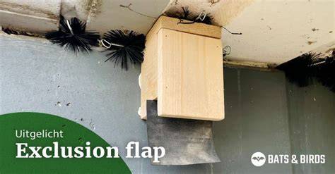 Schematische weergave van exclusion flaps en alternatieve verblijfplaatsen.