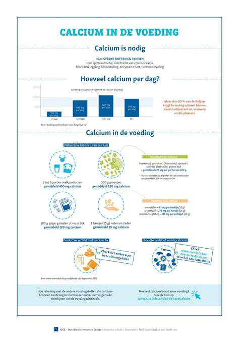 Infografiek: Opbouw en onderhoudsfasen van terrazzovloeren