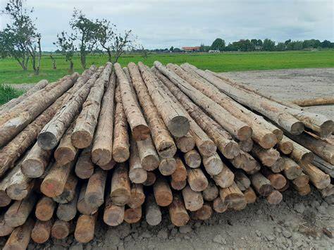 Oude en moderne paalfunderingstechnieken: houten palen, betonnen palen en buispalen