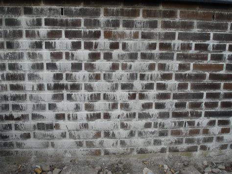Afbeeldingen 1-5: kalkuitslag op vers metselwerk; afbeeldingen tonen proces van vrije kalk, verdamping, en nagalmen