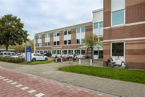 Infographic: Verpleegkundig specialisten GGZ in Nederland - overzicht van rollen en locaties