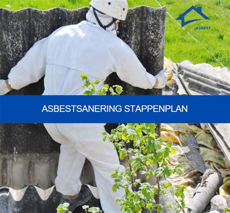 Infographic: Stappenplan asbestsanering en betrokken partijen