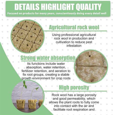 Infografiek: Steenwol voor hydrocultuur - voordelen en werkwijze