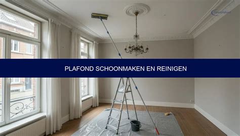 Infographic: Stappenplan plafond schoonmaken