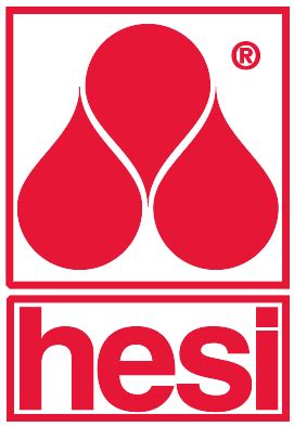 Logo hesi en regionale focus