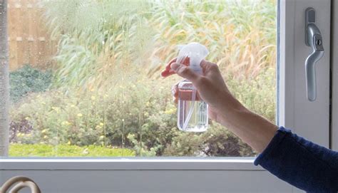 Afbeelding van iemand die statische raamfolie aanbrengt op een raam met behulp van een plantenspuit en een raamwisser