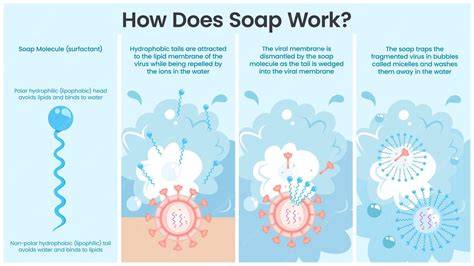 Infographic: Hoe werkt hydrofoberen en impregneren