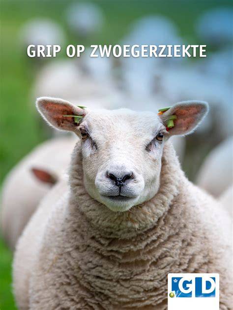 Diagram: Verschillende tegelstijlen en grip