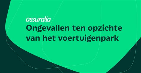 Informatieve kaart: erfgrens en muurpositie ten opzichte van tuin
