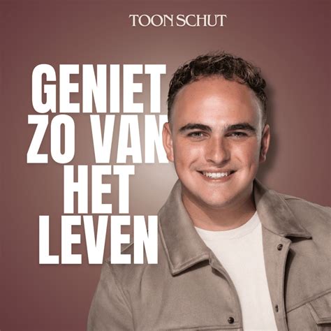 Infographic: Carrièrepad van Toon Schut van playback tot singles