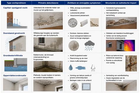 Infographic: Verschillende vochtproblemen in spouwmuur en bijbehorende oplossingen