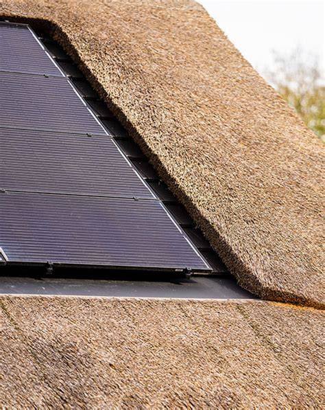 Infographic: Duurzaamheid en zonnepanelen op rieten daken