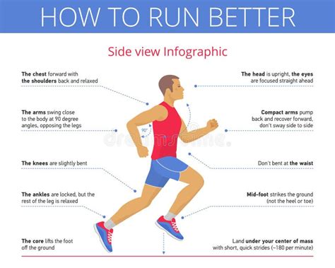 Infographic: correcte tuitbreden en voegdiepte