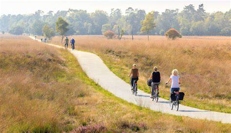 infographic over Veluwse Kozijn Techniek en regio Veluwe